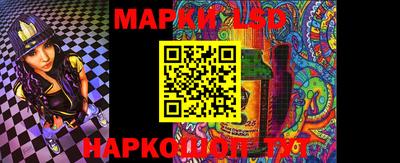 стаф Бердск
