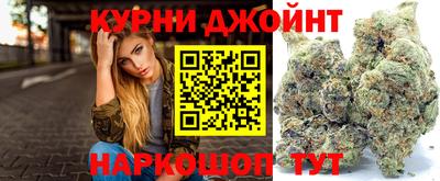 стаф Бердск