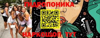 стаф Бердск