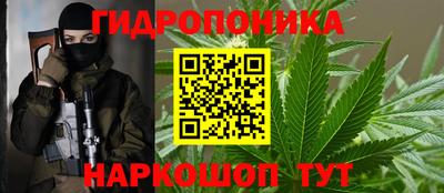 прущие грибы Белореченск