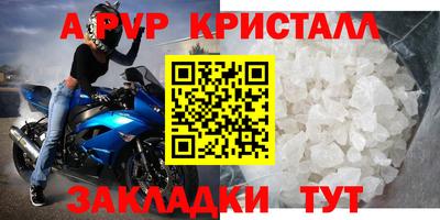 стаф Бердск