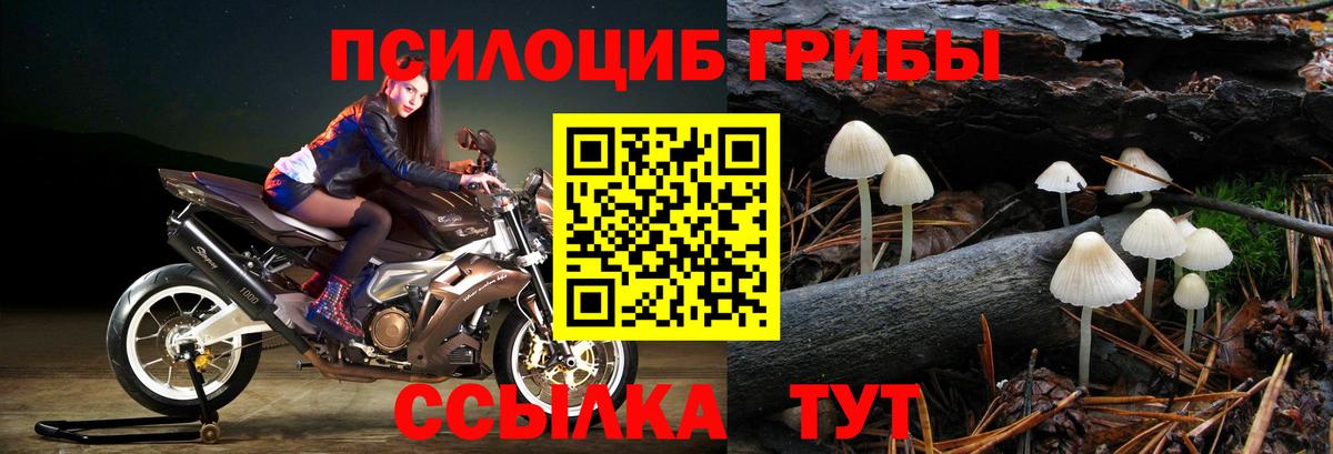 Галлюциногенные грибы Magic Shrooms  продажа наркотиков  Ачинск  Псилоцибиновые грибы прущие грибы  Вход с VPN 